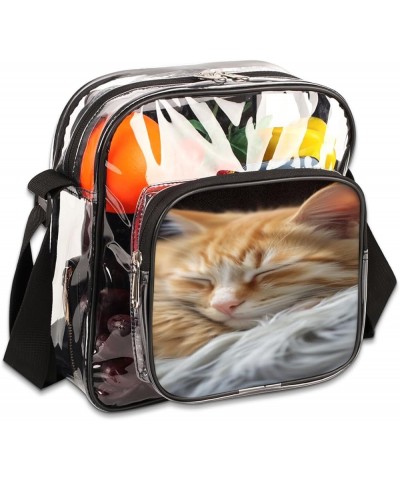 Coconut Tree Stadium-Approved Clear Crossbody Bag with Colorful Print Design Sleeping Cat $15.92 Crossbody Bags