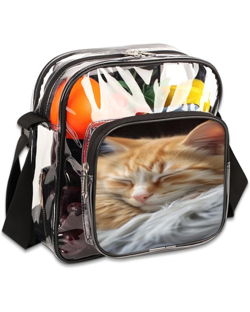 Coconut Tree Stadium-Approved Clear Crossbody Bag with Colorful Print Design Sleeping Cat $15.92 Crossbody Bags