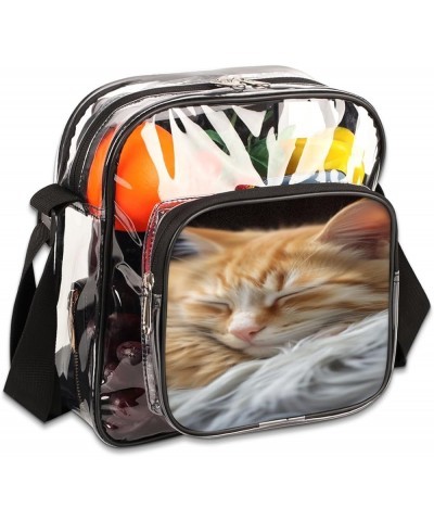 Coconut Tree Stadium-Approved Clear Crossbody Bag with Colorful Print Design Sleeping Cat $15.92 Crossbody Bags