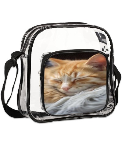 Coconut Tree Stadium-Approved Clear Crossbody Bag with Colorful Print Design Sleeping Cat $15.92 Crossbody Bags